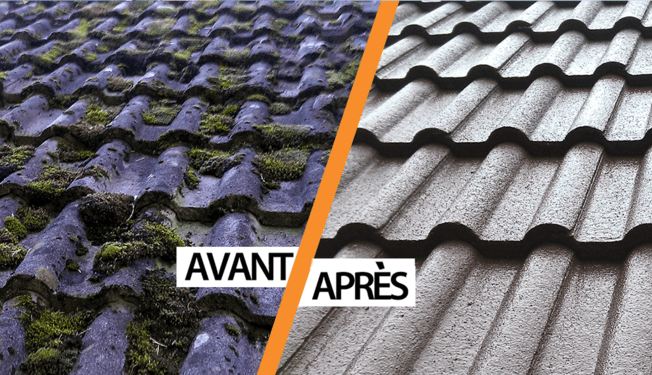 Lire la suite à propos de l’article Votre nettoyage toiture à Grenoble avec IT Rénovation
