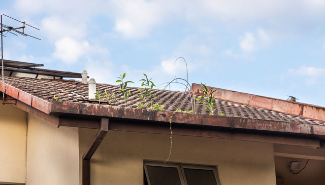 Démoussage de toit à Grenoble avec IT Rénovation