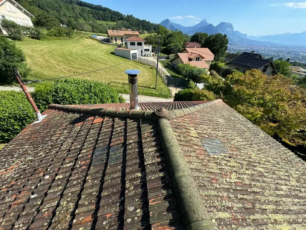 Photo mousse et lichens sur Toiture par It rénovation