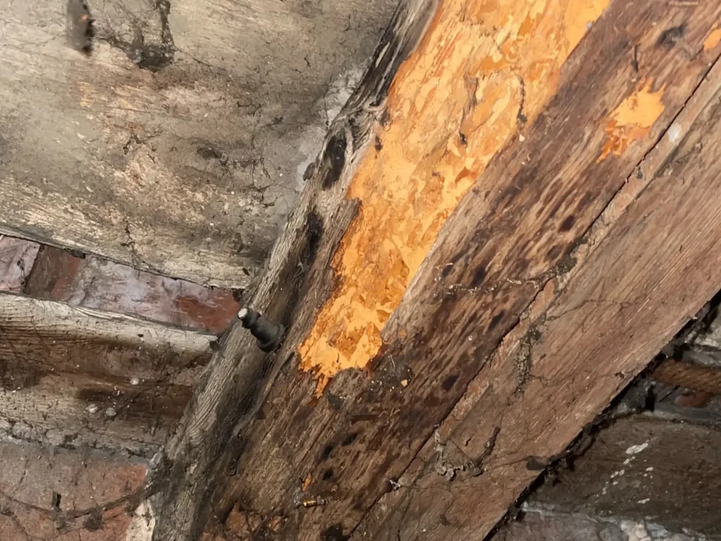 Présence de vermoulure sur une charpente ancienne inspectée par IT Rénovation en Isère